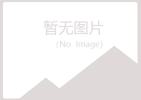 鲁山县夏日能源有限公司